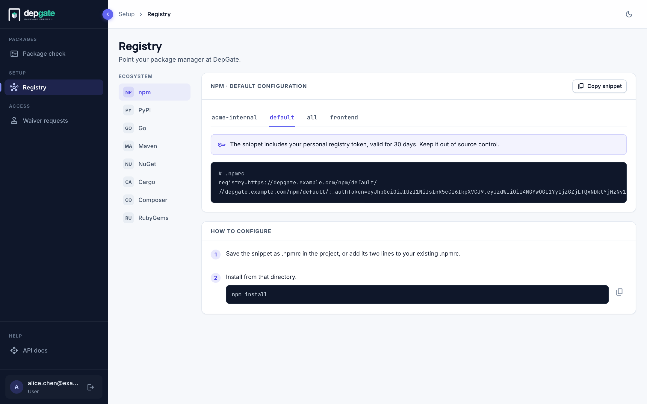 The Registry page for a developer, showing the npm snippet