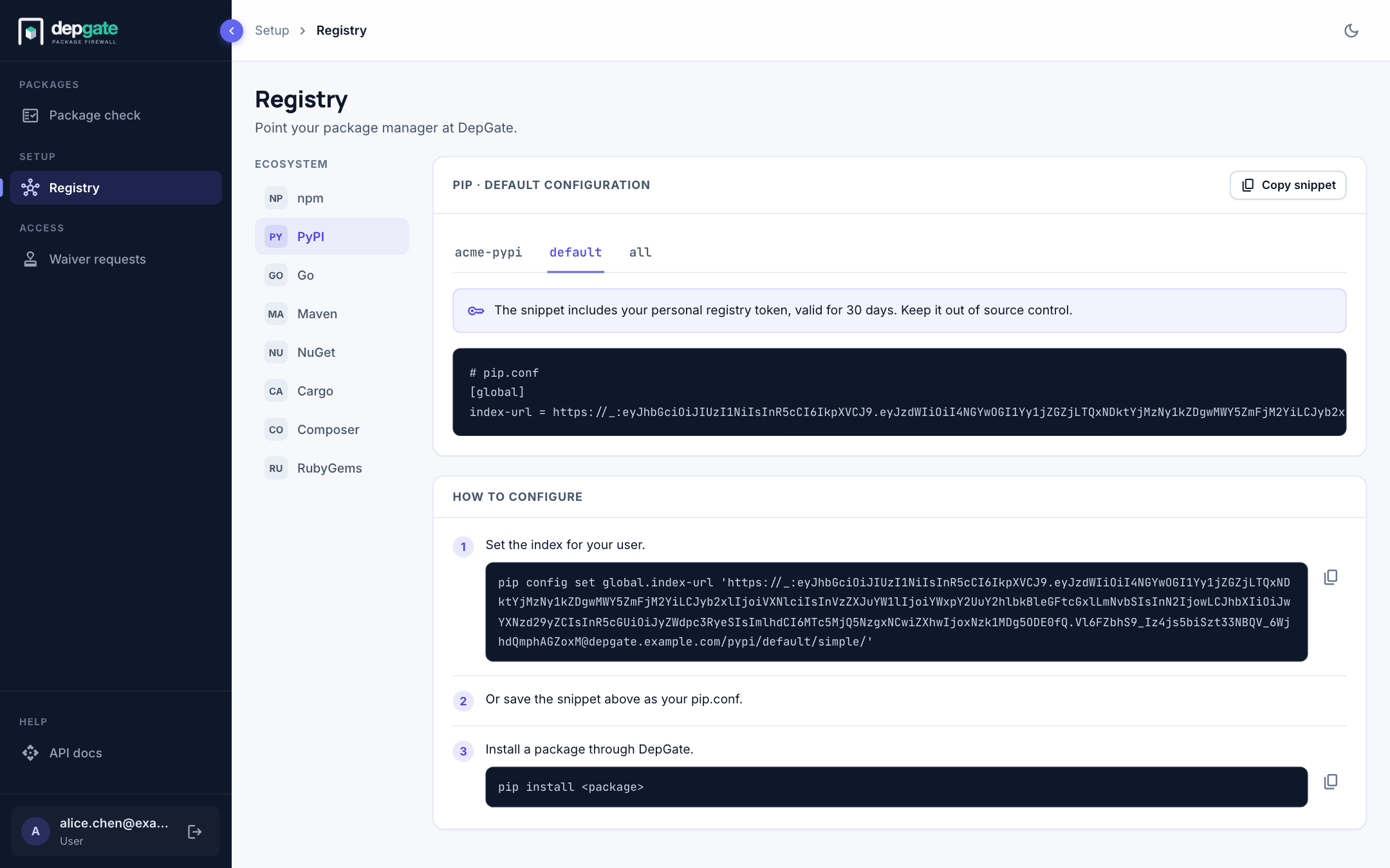 The Registry page with the pip snippet and setup steps